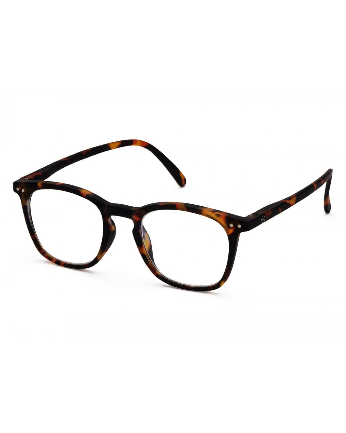 #E Reading Tortoise Soft