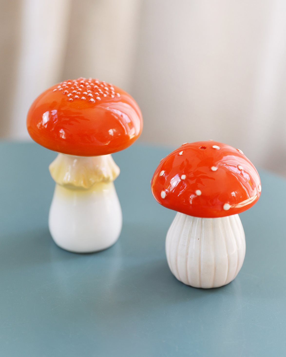 Salt & Pepper Mushroom Multicolor