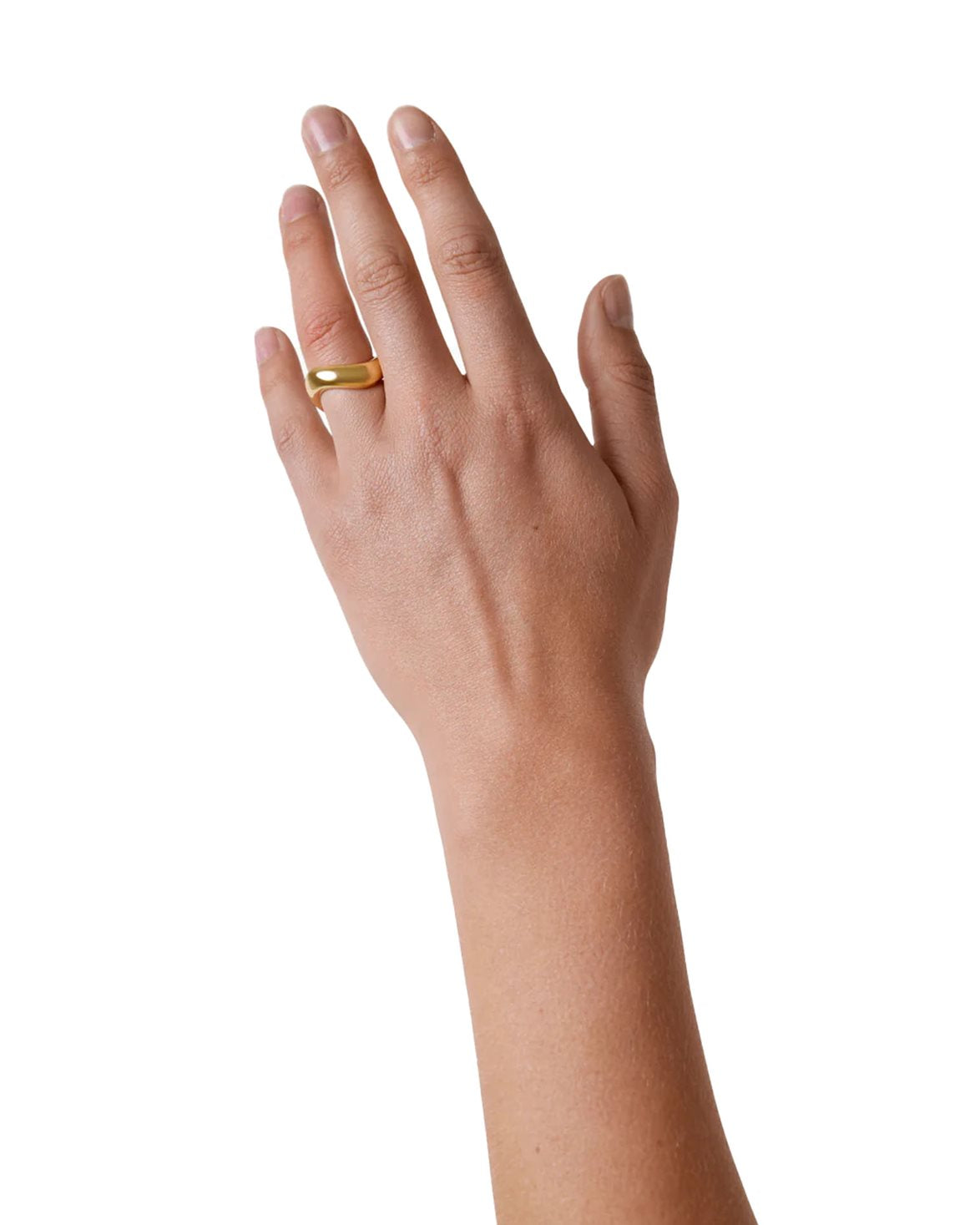 The Ivalo Ring Gold
