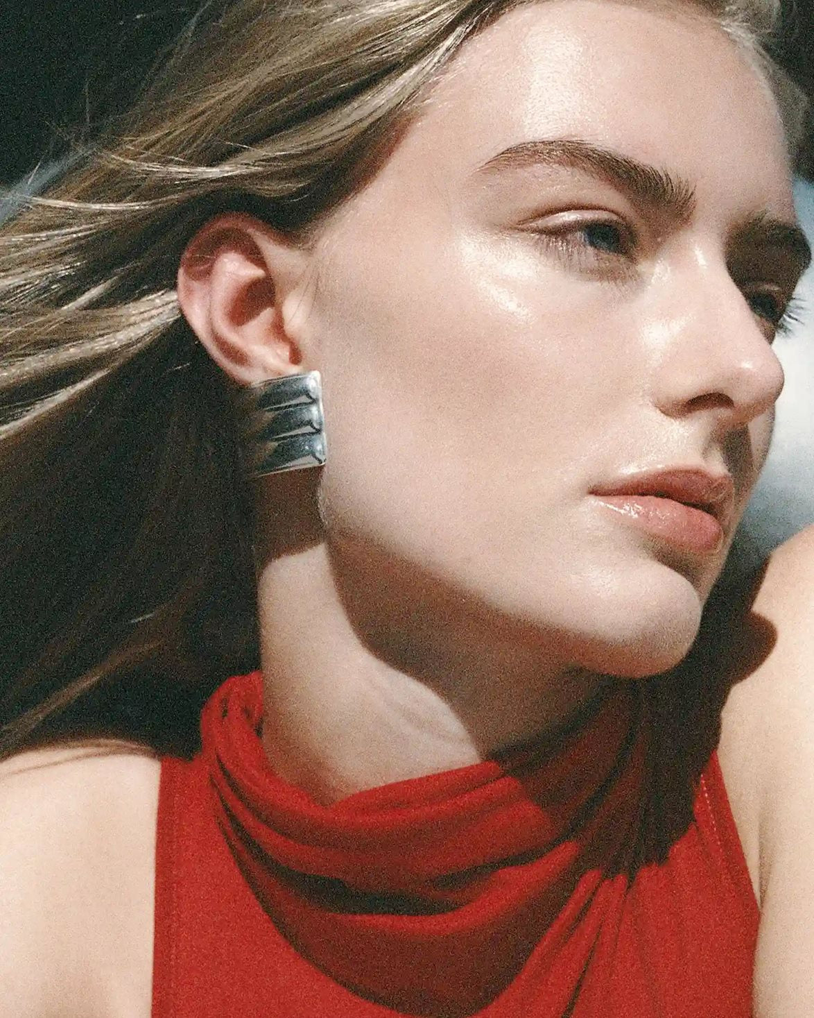 Cesi Earrings Silver