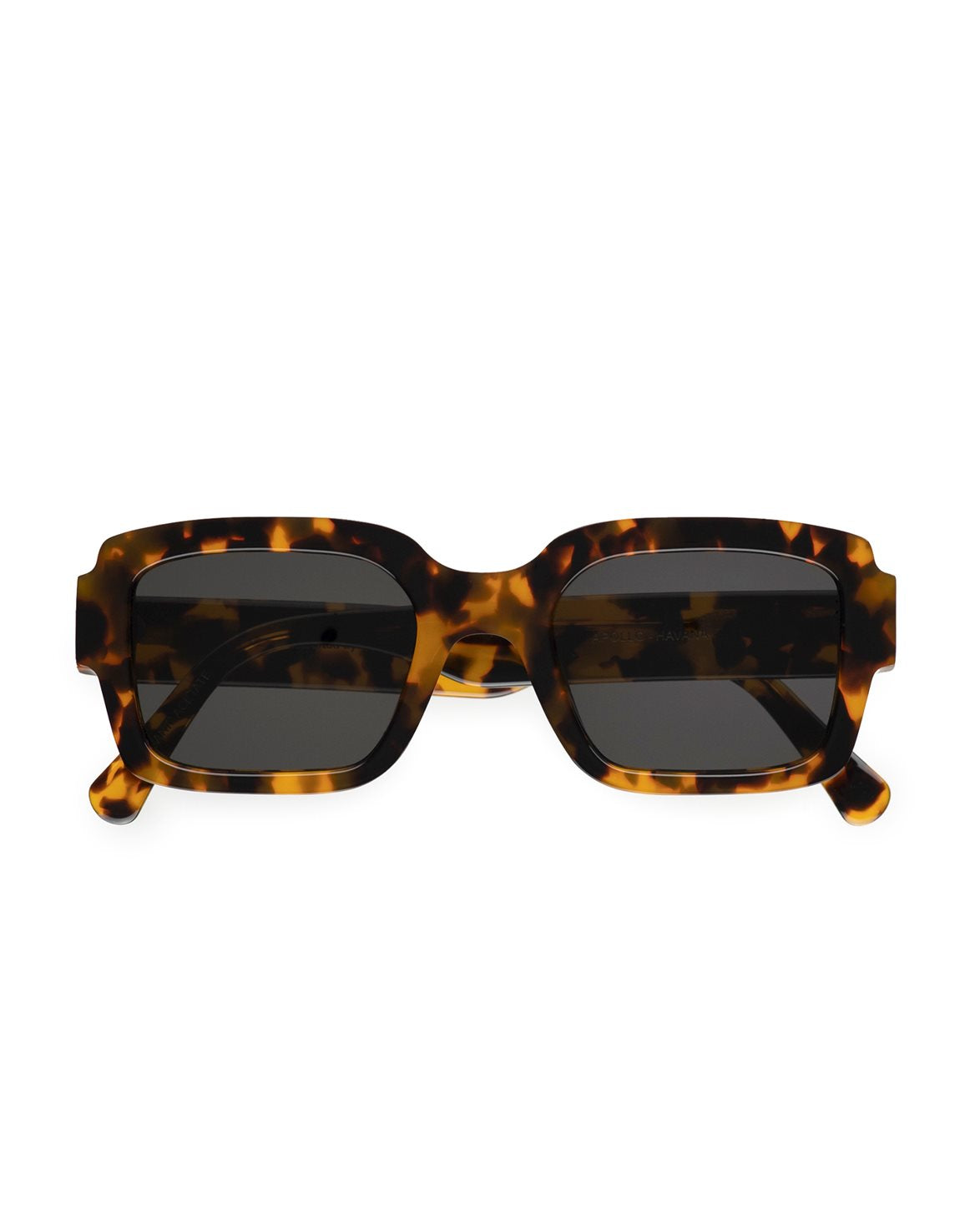 Apollo Havana Grey Solid Lens