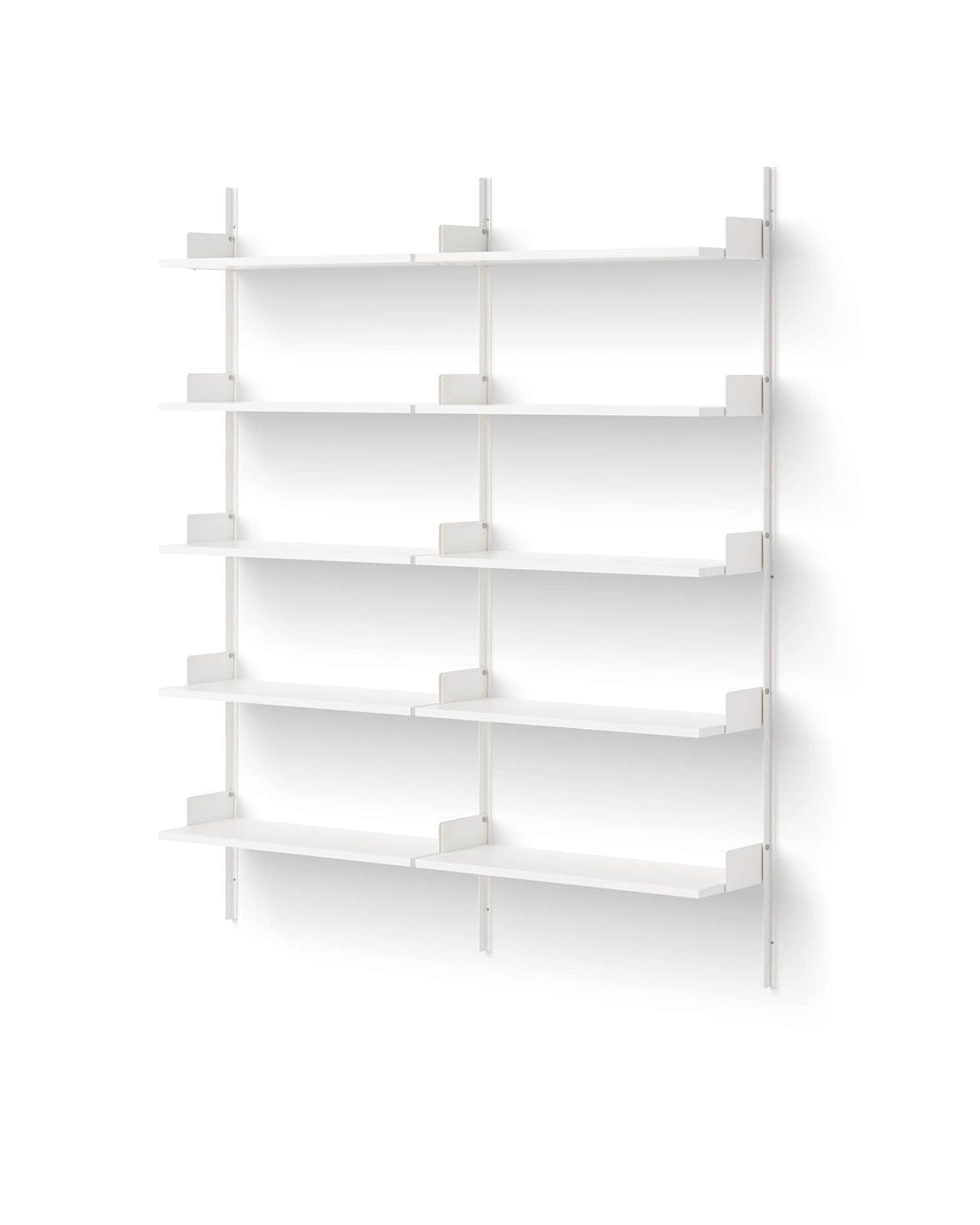 Library Shelf 1900