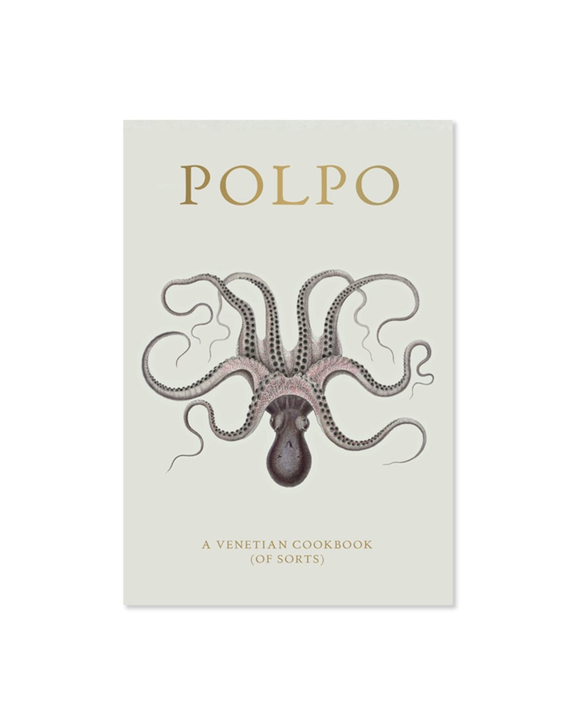 Polpo